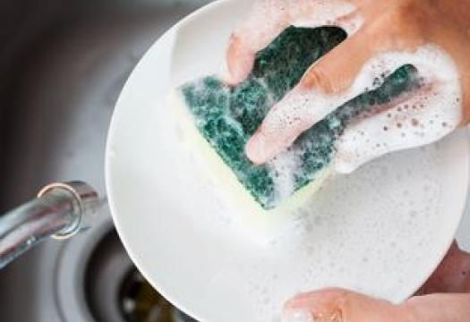 kitchen sponge