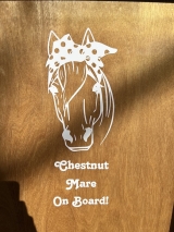 Decorate your car, laptop, even the horse float with Cricut decals